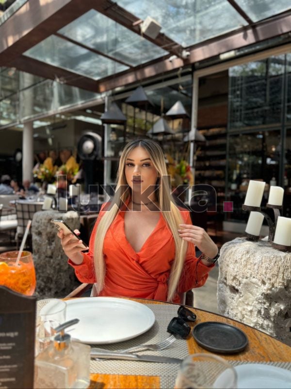 Bruna Barcelli, acompanhante trans em Moema, São Paulo, foto 34 de 58