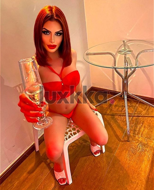 Antonella, acompanhante trans no Centro Histórico, Porto Alegre, foto 58 de 92