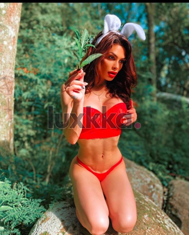 Antonella, acompanhante trans no Centro Histórico, Porto Alegre, foto 63 de 92